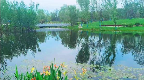 圖片3.jpg 圖片3.jpg